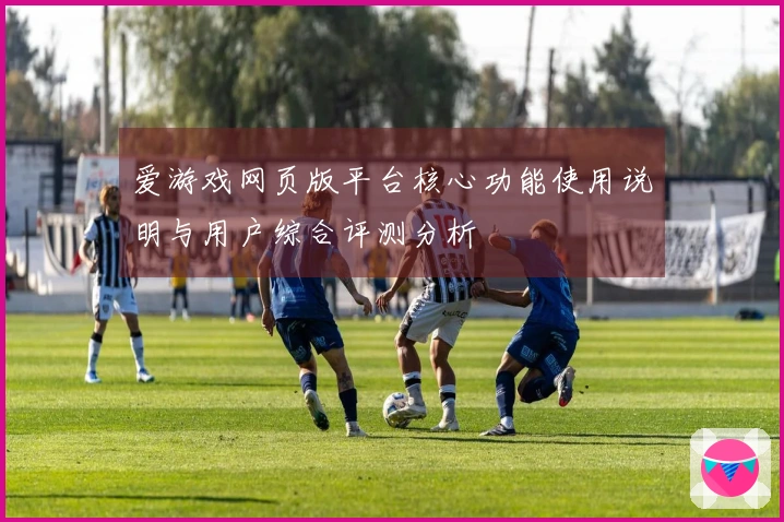 爱游戏网页版平台核心功能使用说明与用户综合评测分析